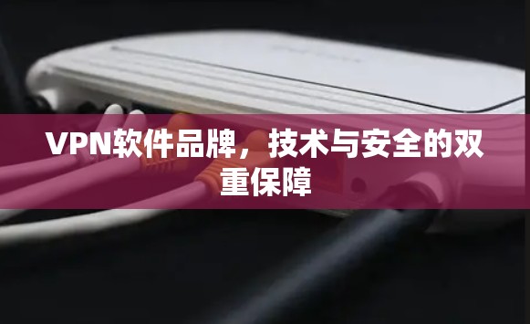 VPN软件品牌,技术与安全的双重保障 VPN软件品牌,技术与安全的双重保障