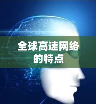 全球高速网络的特点 全球高速网络的特点
