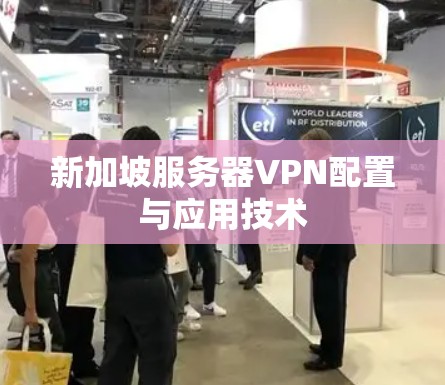 新加坡服务器VPN配置与应用技术