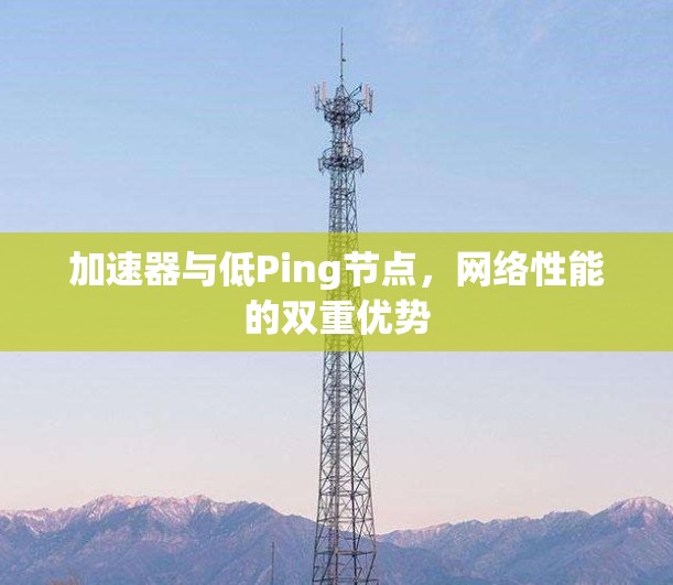 加速器与低Ping节点,网络性能的双重优势 加速器与低Ping节点,网络性能的双重优势