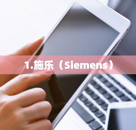 1.施乐(Siemens) 1.施乐(Siemens)