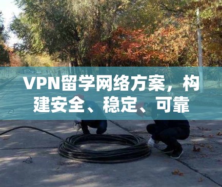 VPN留学网络方案,构建安全、稳定、可靠的海外学习网络 VPN留学网络方案,构建安全、稳定、可靠的海外学习网络