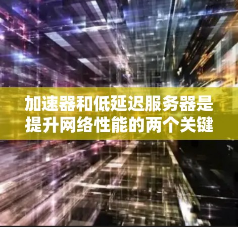 加速器和低延迟服务器是提升网络性能的两个关键技术，各自在不同的层面上优化数据传输和处理速度。以下是对它们的详细分析和总结