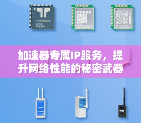 加速器专属IP服务，提升网络性能的秘密武器