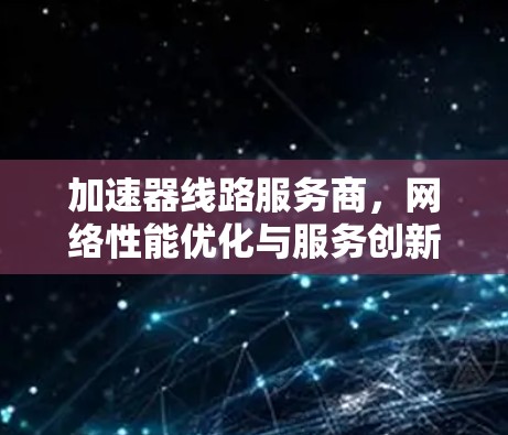 加速器线路服务商,网络性能优化与服务创新 加速器线路服务商,网络性能优化与服务创新