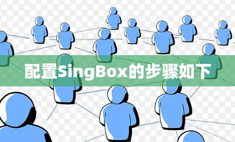 配置SingBox的步骤如下 配置SingBox的步骤如下