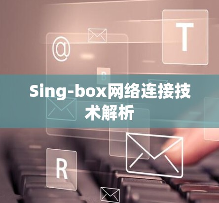Sing-box网络连接技术解析 Sing-box网络连接技术解析