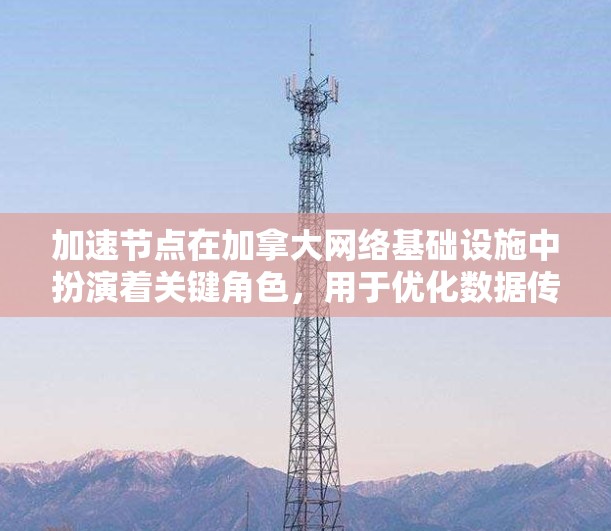 加速节点在加拿大网络基础设施中扮演着关键角色，用于优化数据传输和处理，提升整体网络性能。以下是对加速节点的详细分析