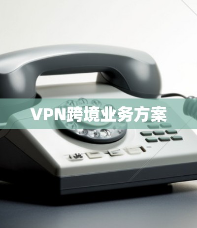 VPN跨境业务方案