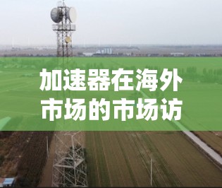加速器在海外市场的市场访问策略分析 加速器在海外市场的市场访问策略分析