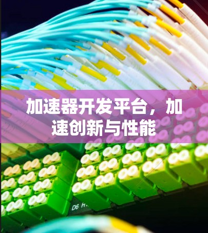 加速器开发平台,加速创新与性能 加速器开发平台,加速创新与性能