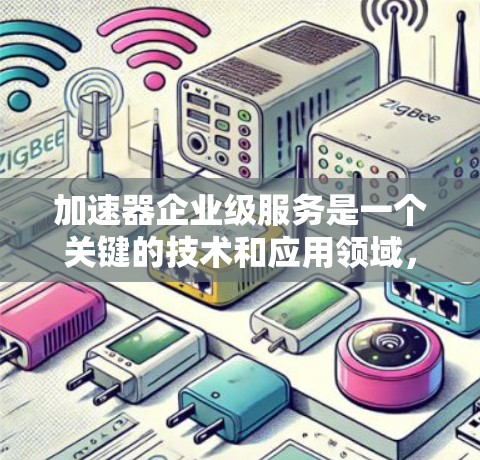 加速器企业级服务是一个关键的技术和应用领域，旨在通过高性能硬件或软件来加速企业的计算和数据处理需求。以下是对该领域的详细分析