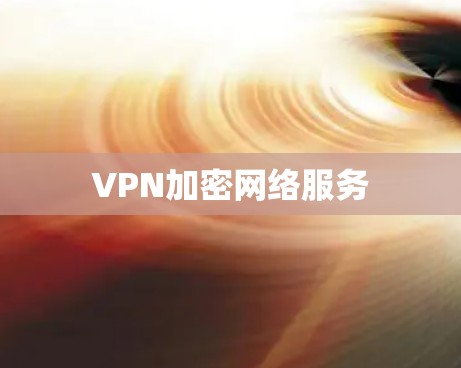 VPN加密网络服务 VPN加密网络服务
