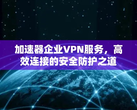 加速器企业VPN服务,高效连接的安全防护之道 加速器企业VPN服务,高效连接的安全防护之道