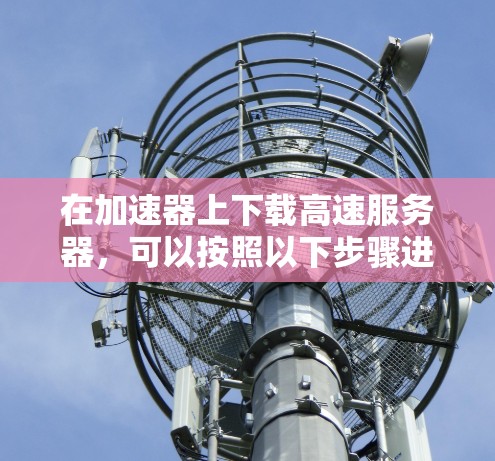 在加速器上下载高速服务器，可以按照以下步骤进行