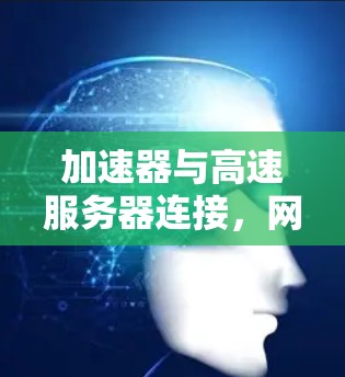 加速器与高速服务器连接，网络性能优化的关键