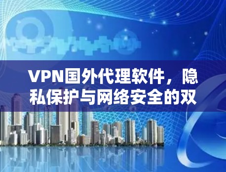 VPN国外代理软件，隐私保护与网络安全的双重保障