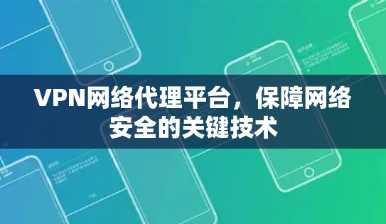 VPN网络代理平台，保障网络安全的关键技术
