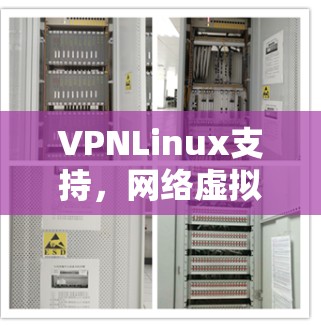 VPNLinux支持，网络虚拟化与安全的无缝融合