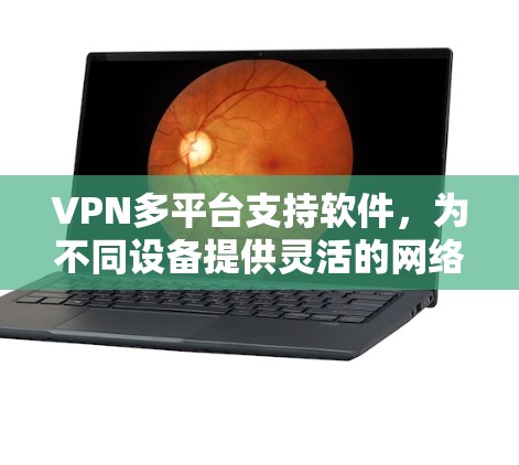 VPN多平台支持软件,为不同设备提供灵活的网络访问解决方案 VPN多平台支持软件,为不同设备提供灵活的网络访问解决方案